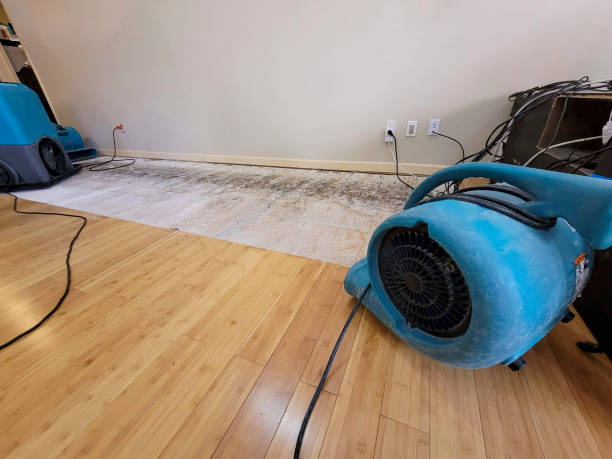 Professional Basement Flood Cleanup technician working in Kailua Kona, HI